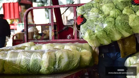 字节跳动大动作皇冠足球投注App：296亿银团贷款，投资风云再起